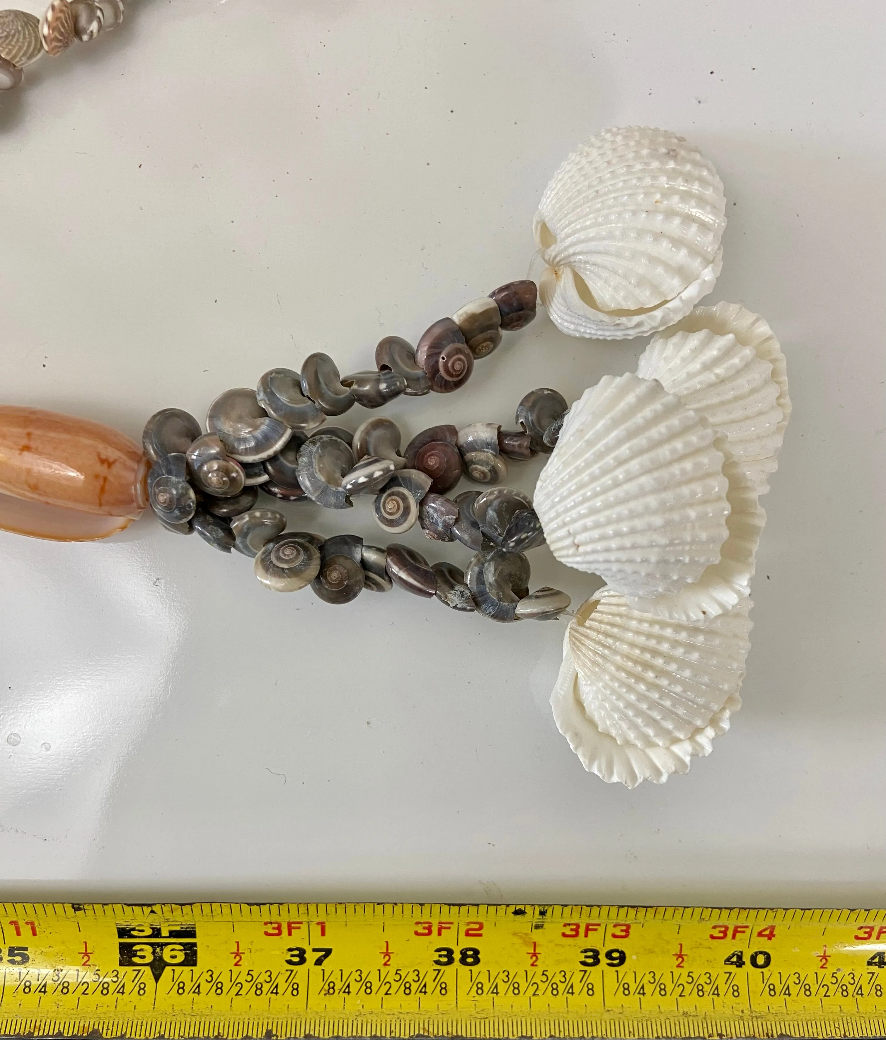 Boho Shells 🐚 in a big circle ⭕️ belt