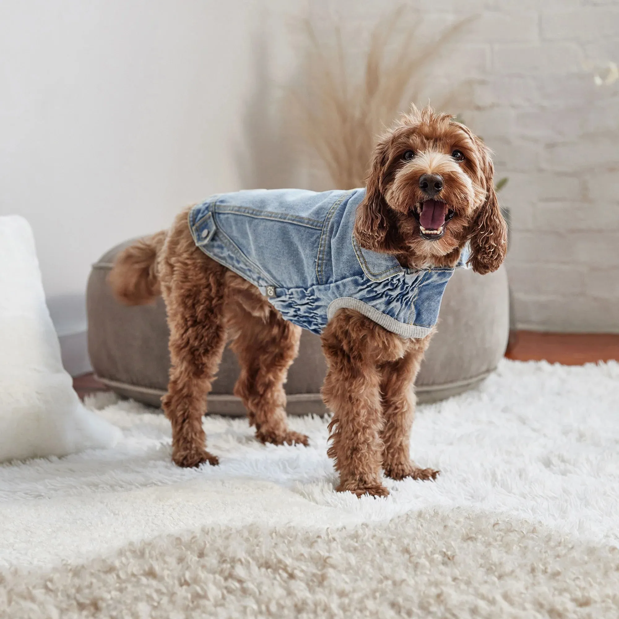 Denim Dog Jacket