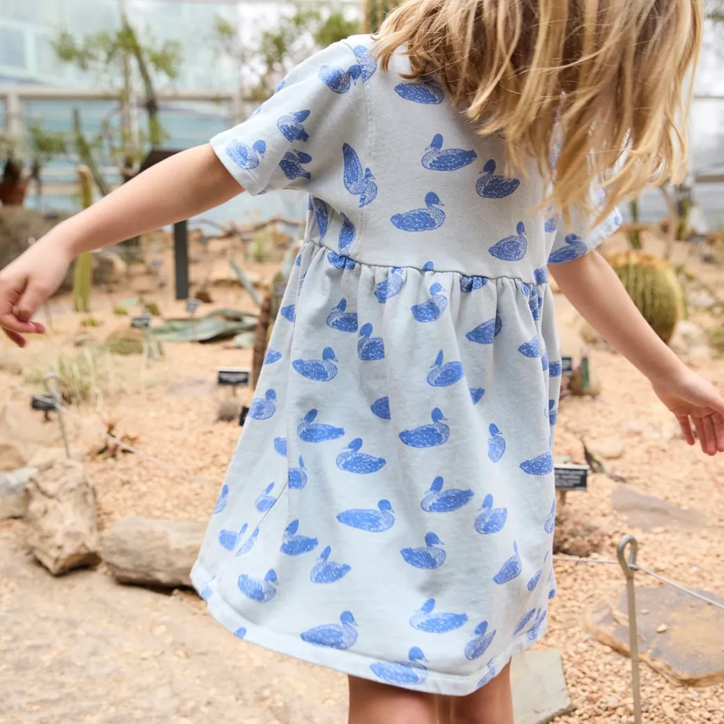 Lewis Duck India Dress